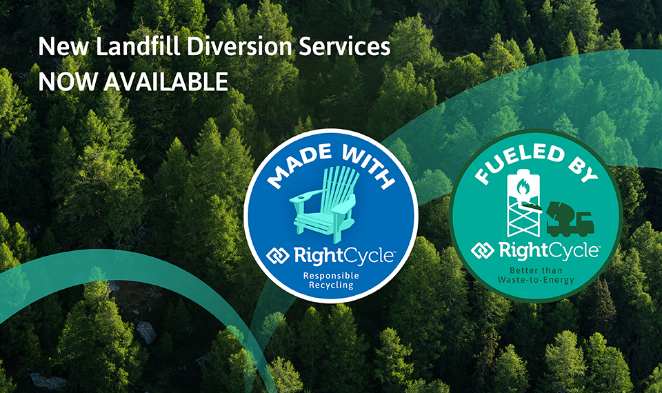 Image of green forest thanks to PPE recycling program that help with waste reduction in the PPE industry