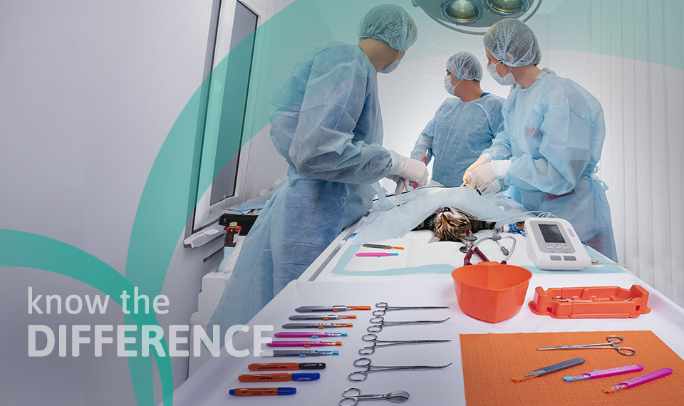 An image of a vet with DERMASHIELD gloves operating on an animal