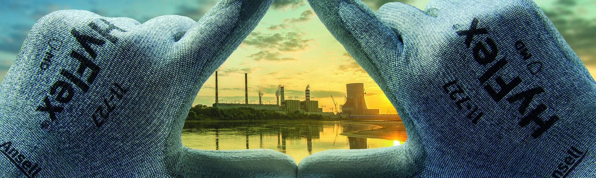 Ansell Guardian Landscape