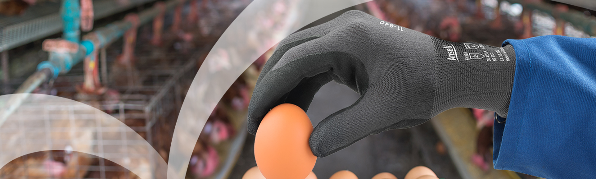 ¿Qué EPP utilizar para evitar contraer enfermedades en la crianza de pollos?