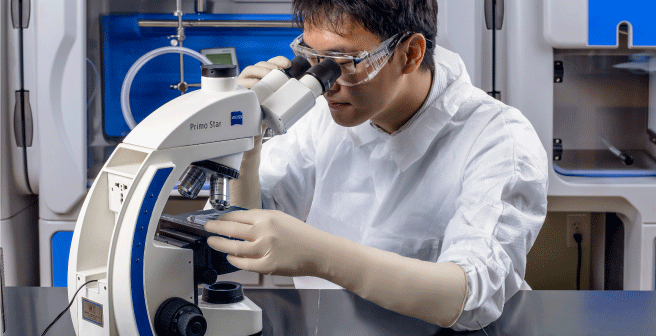 Gants pour salle blanche et RABS/Isolateur