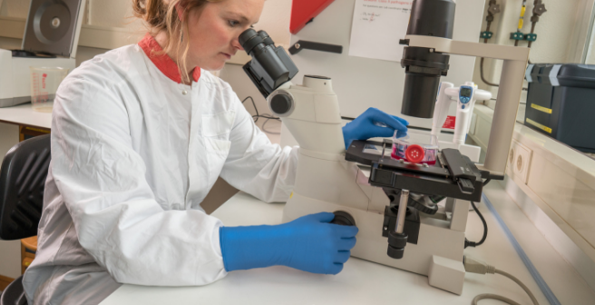 MICROFLEX SafeGrip SG‌-375_63-893_63-293 Life Sciences Application - Microscope