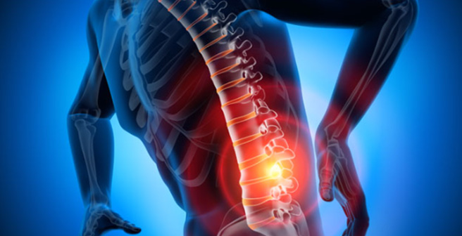 Prevention of Work-related Musculoskeletal Disorders Utilizing Proper Body Ergonomics