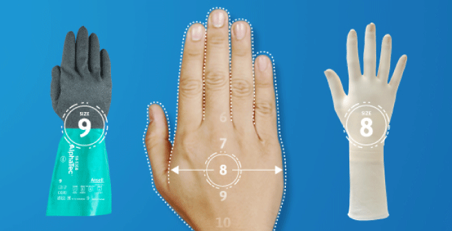 Image of a different glove sizes from a glove size finder to allow users to find the right glove size before purchasing