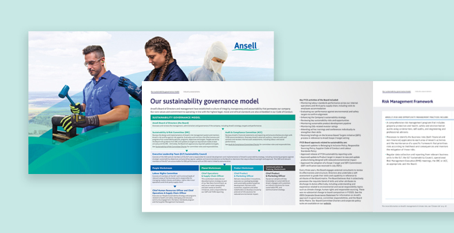 Image of Ansell's Sustainability Management Approach Report cover