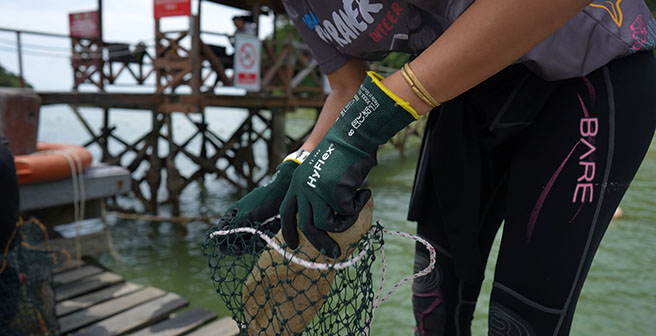 Image of MRF volunteer hand protection with HyFlex 11-762 segregating ocean plastic waste