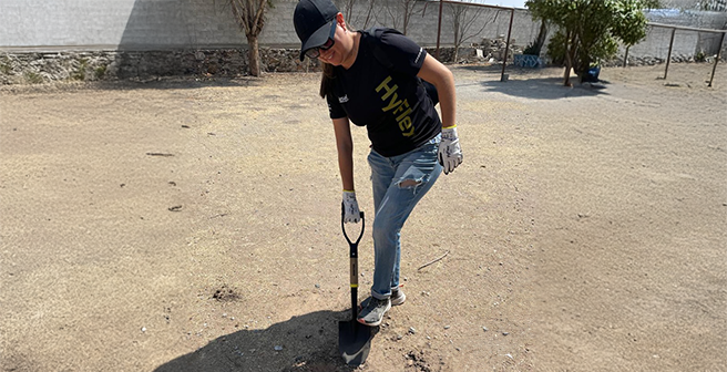 Planting Fruit Trees in Mexico during Ansell's Global Volunteer Day 2025
